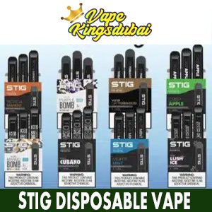 STIG DISPOSABLE VAPE